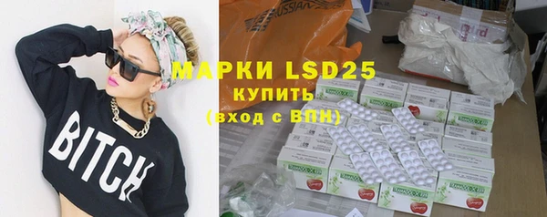 индика Армянск