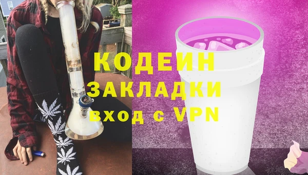 индика Армянск