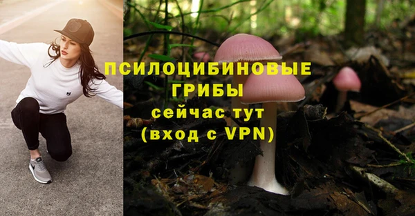 индика Армянск